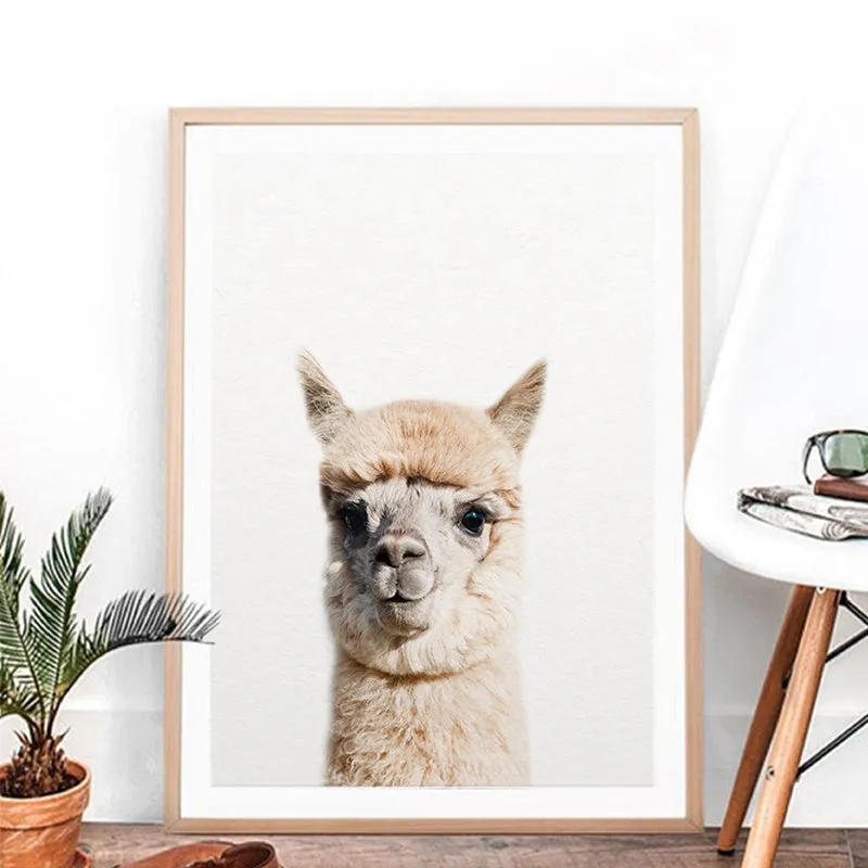 Alpaca Wall Art