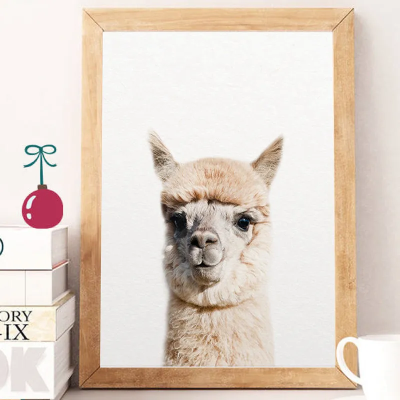 Alpaca Wall Art