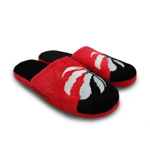 Big Logo Adult Slippers- Toronto Raptors