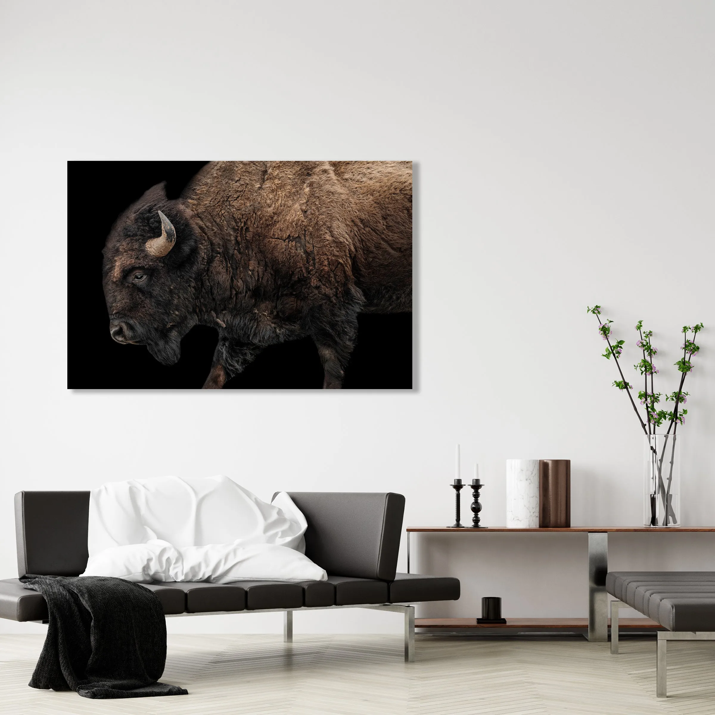 Buffalo on Black I by Adam Mowery