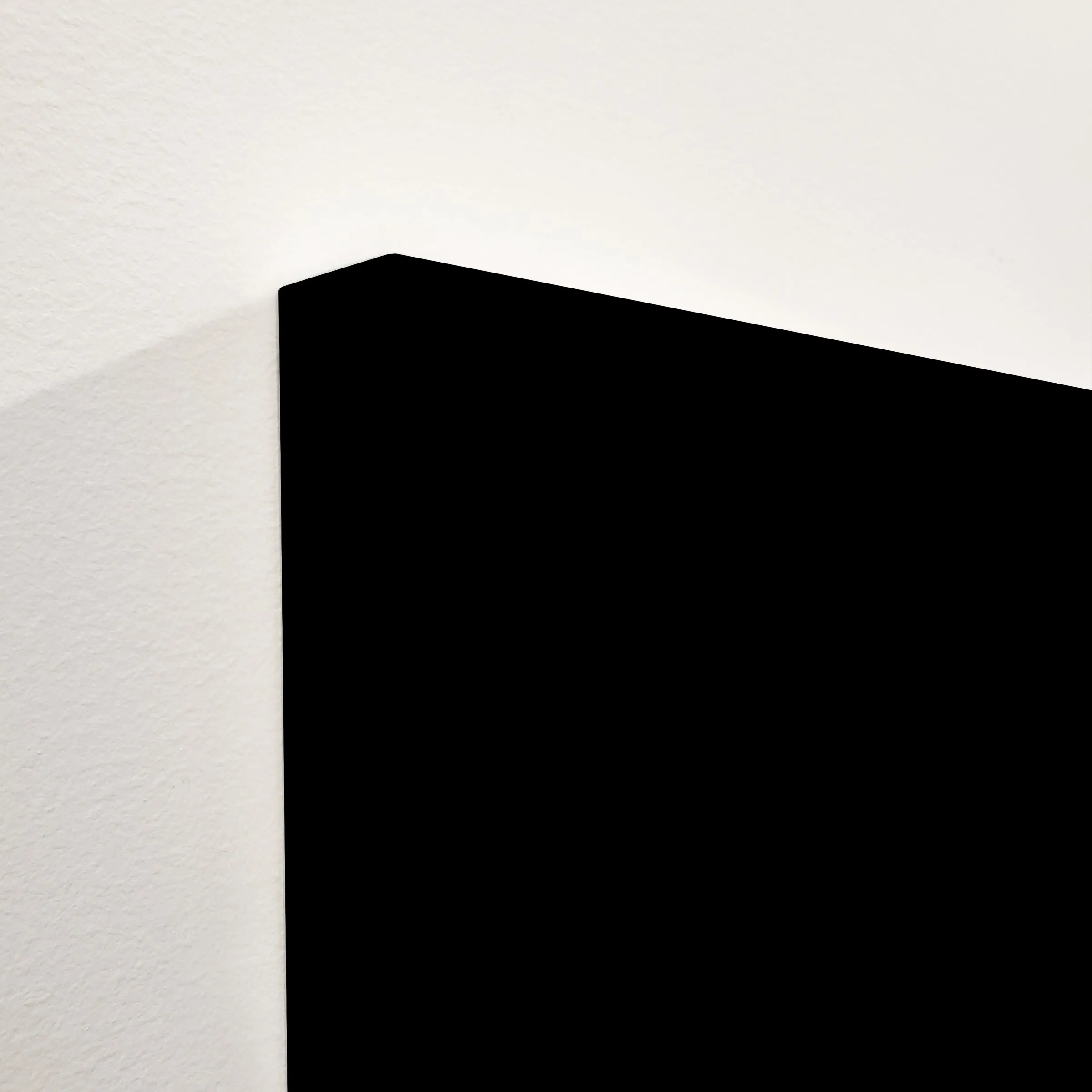 Buffalo on Black I by Adam Mowery