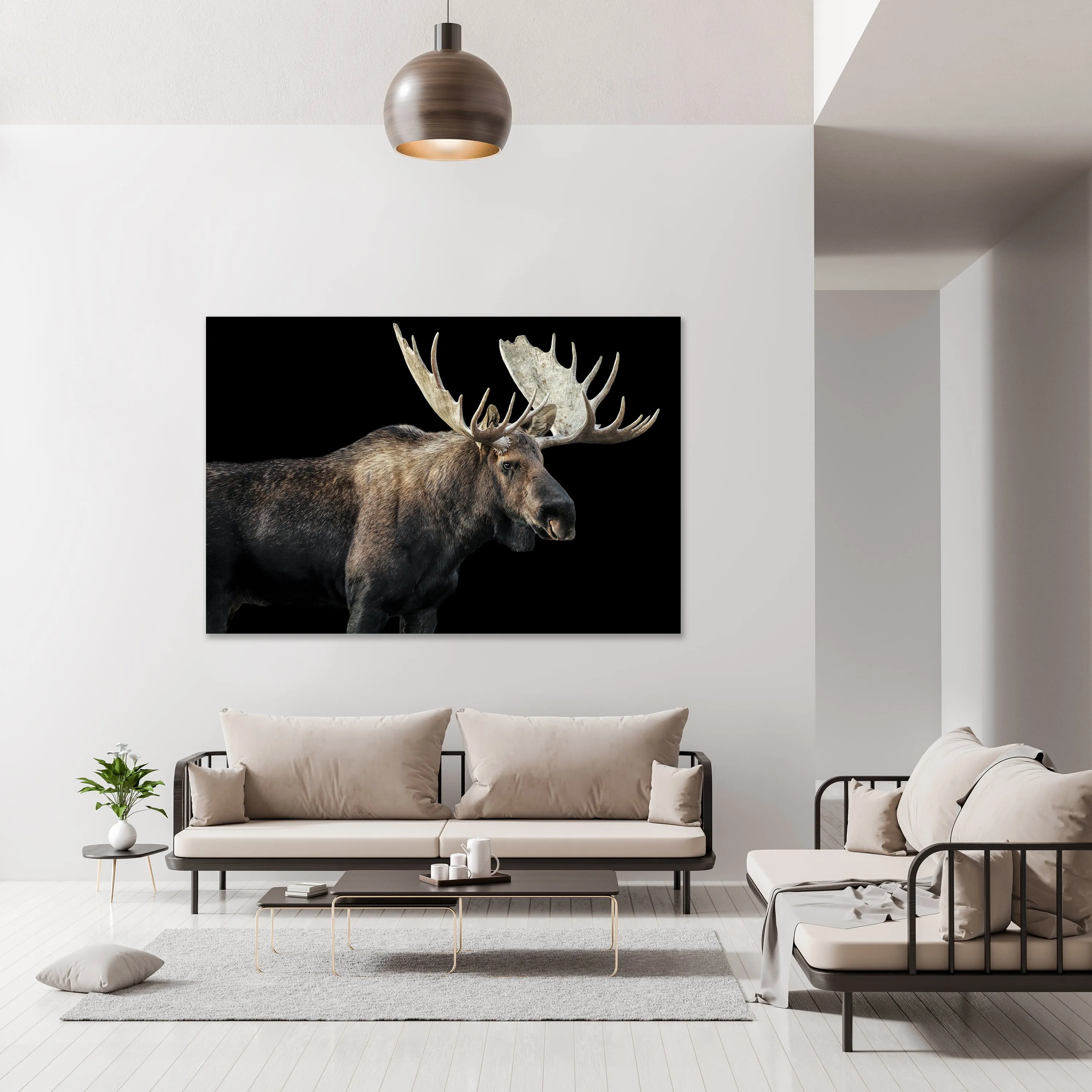 Bull Moose I by Adam Mowery