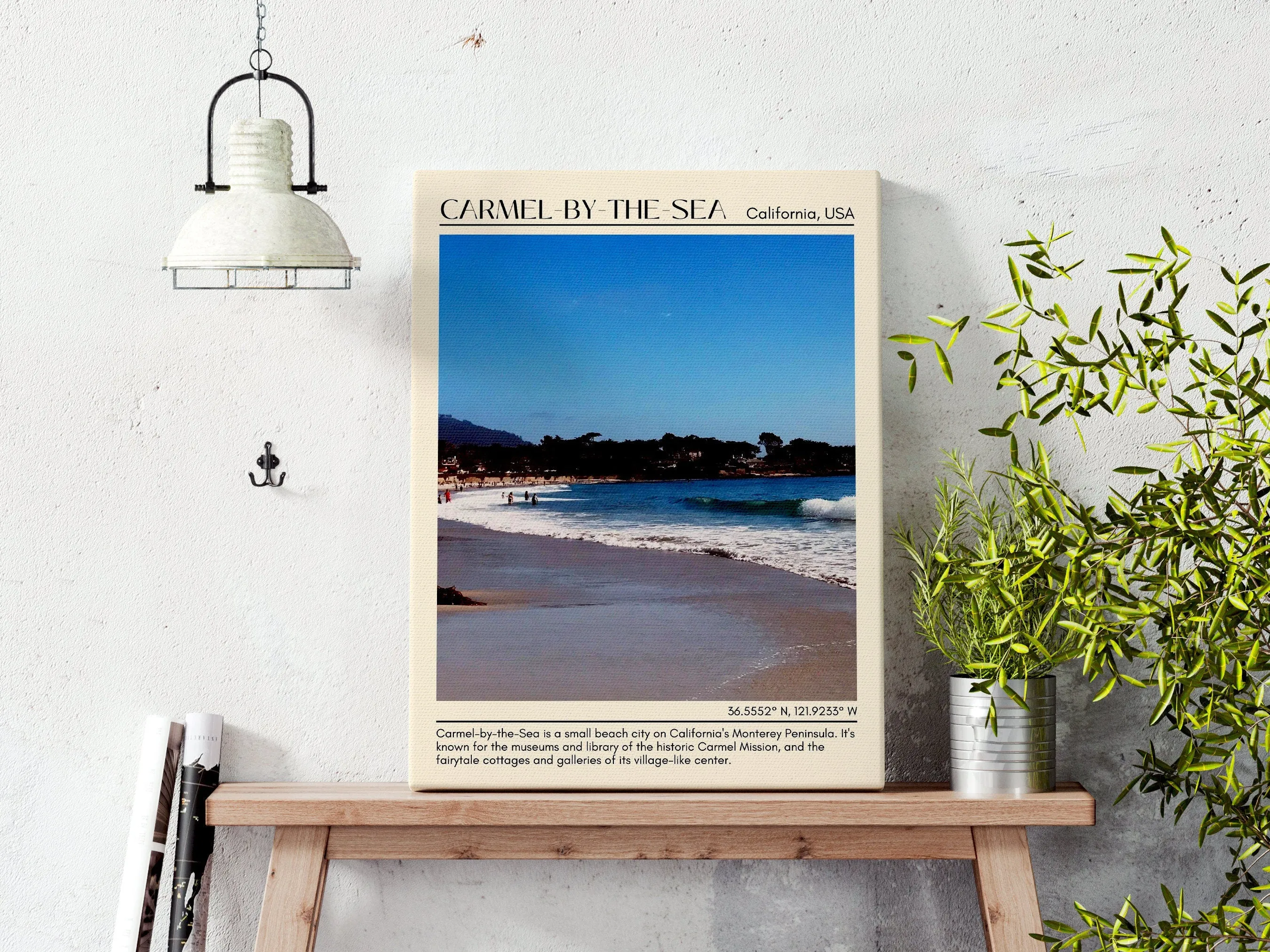 Camel-by-the-sea Wall Art Canva, USA