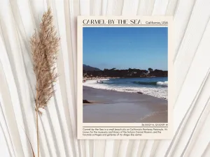 Camel-by-the-sea Wall Art Canva, USA
