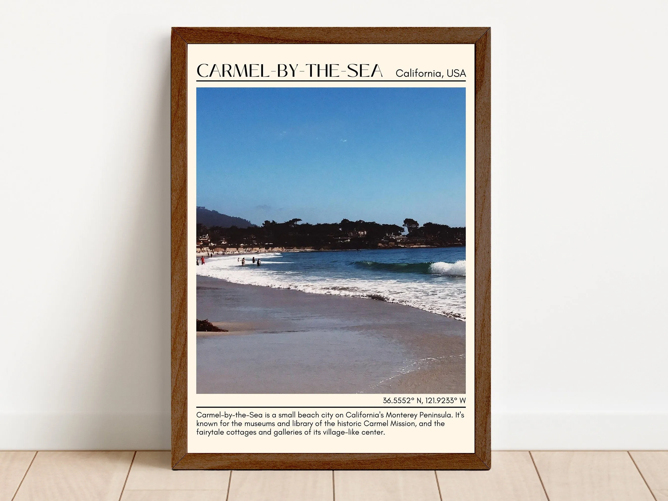 Camel-by-the-sea Wall Art Canva, USA