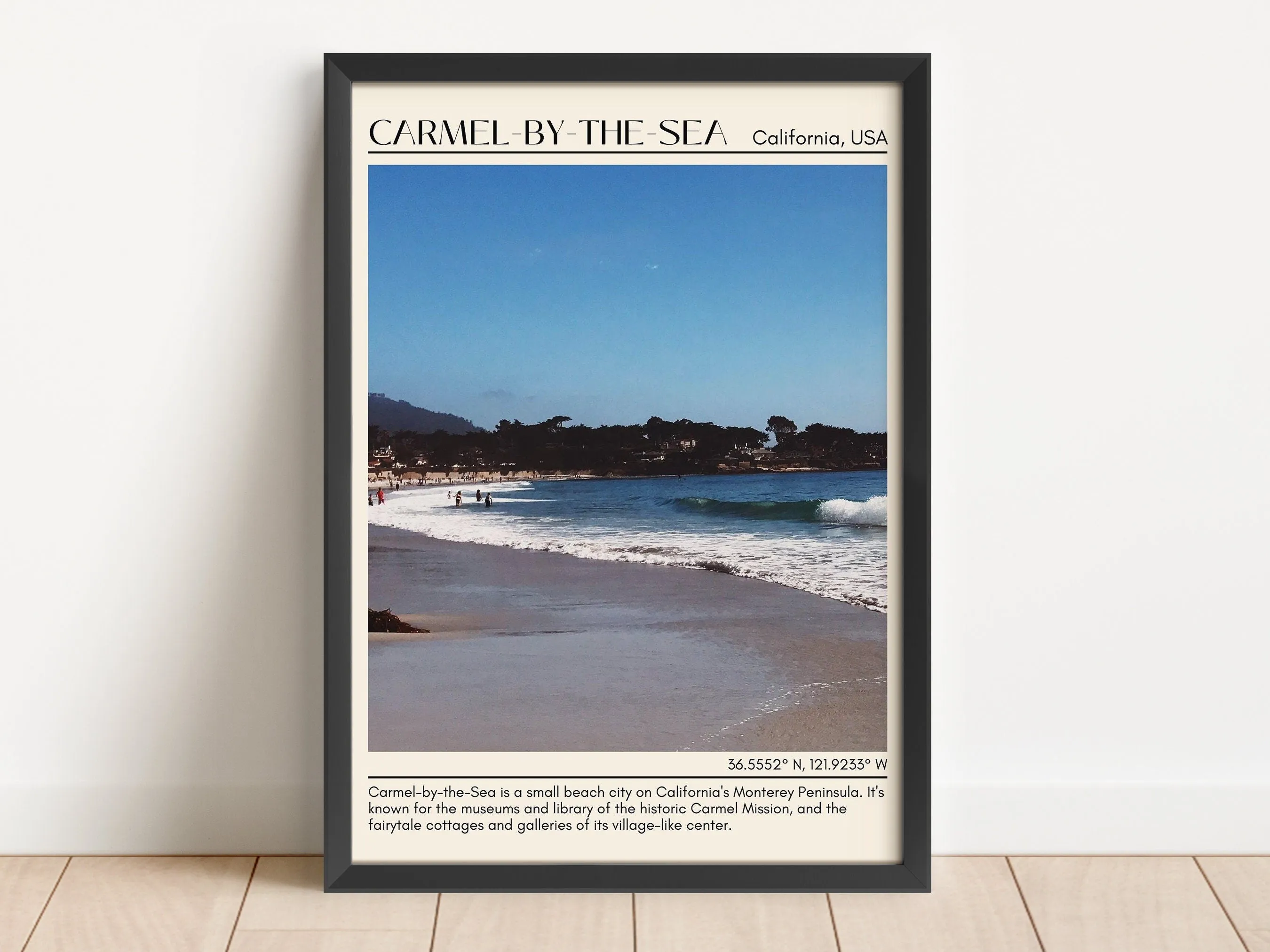 Camel-by-the-sea Wall Art Canva, USA