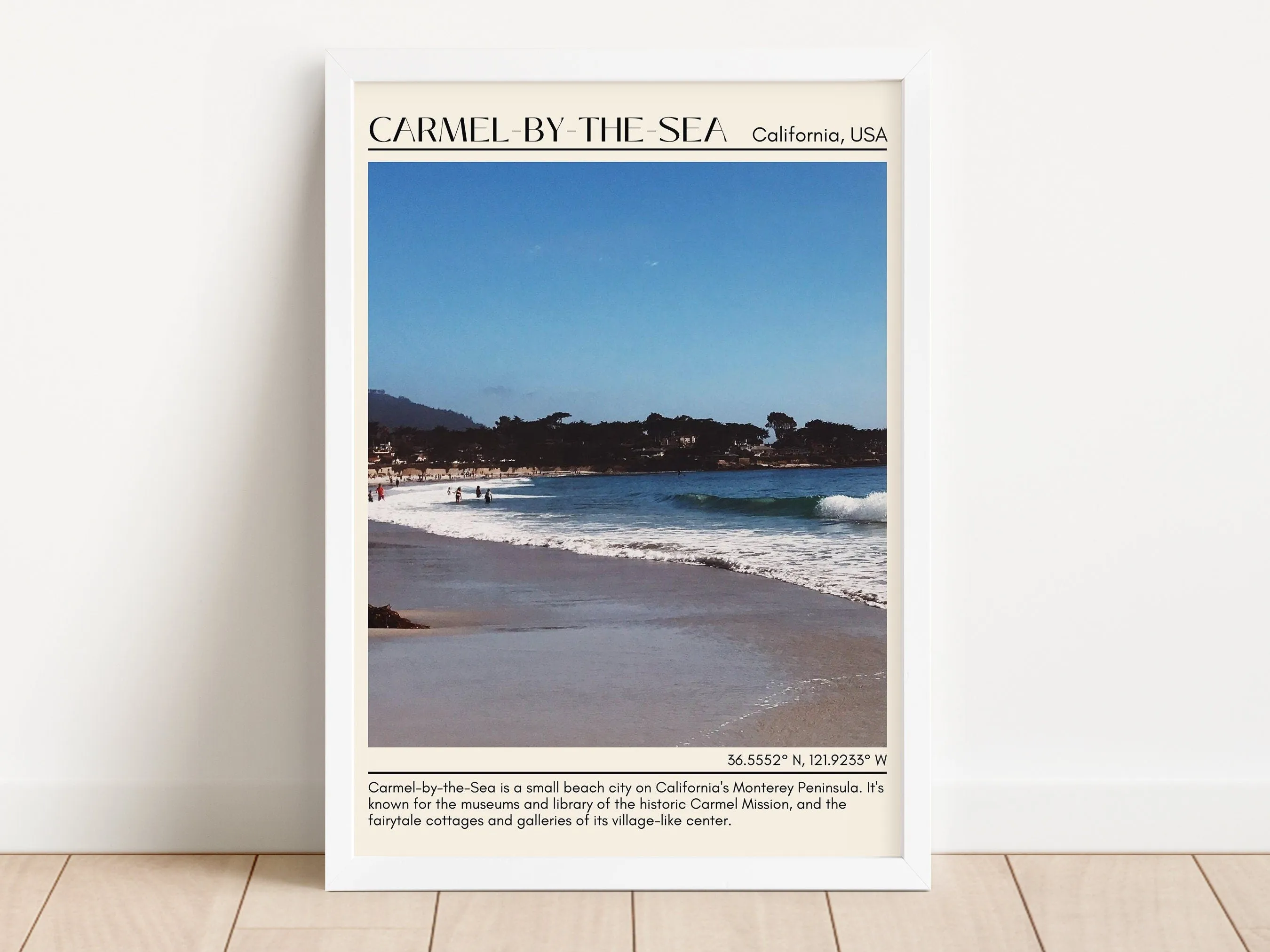 Camel-by-the-sea Wall Art Canva, USA