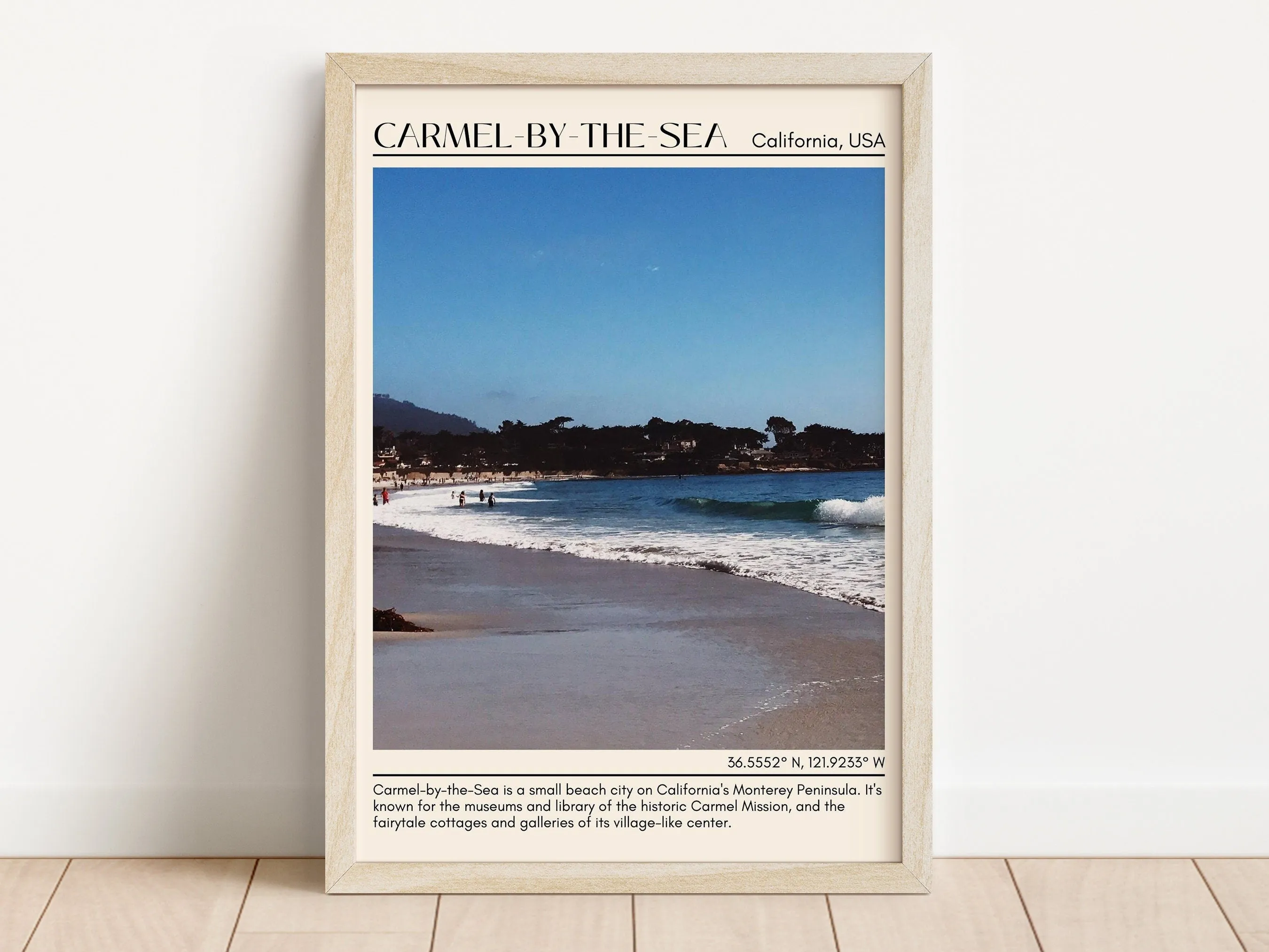 Camel-by-the-sea Wall Art Canva, USA