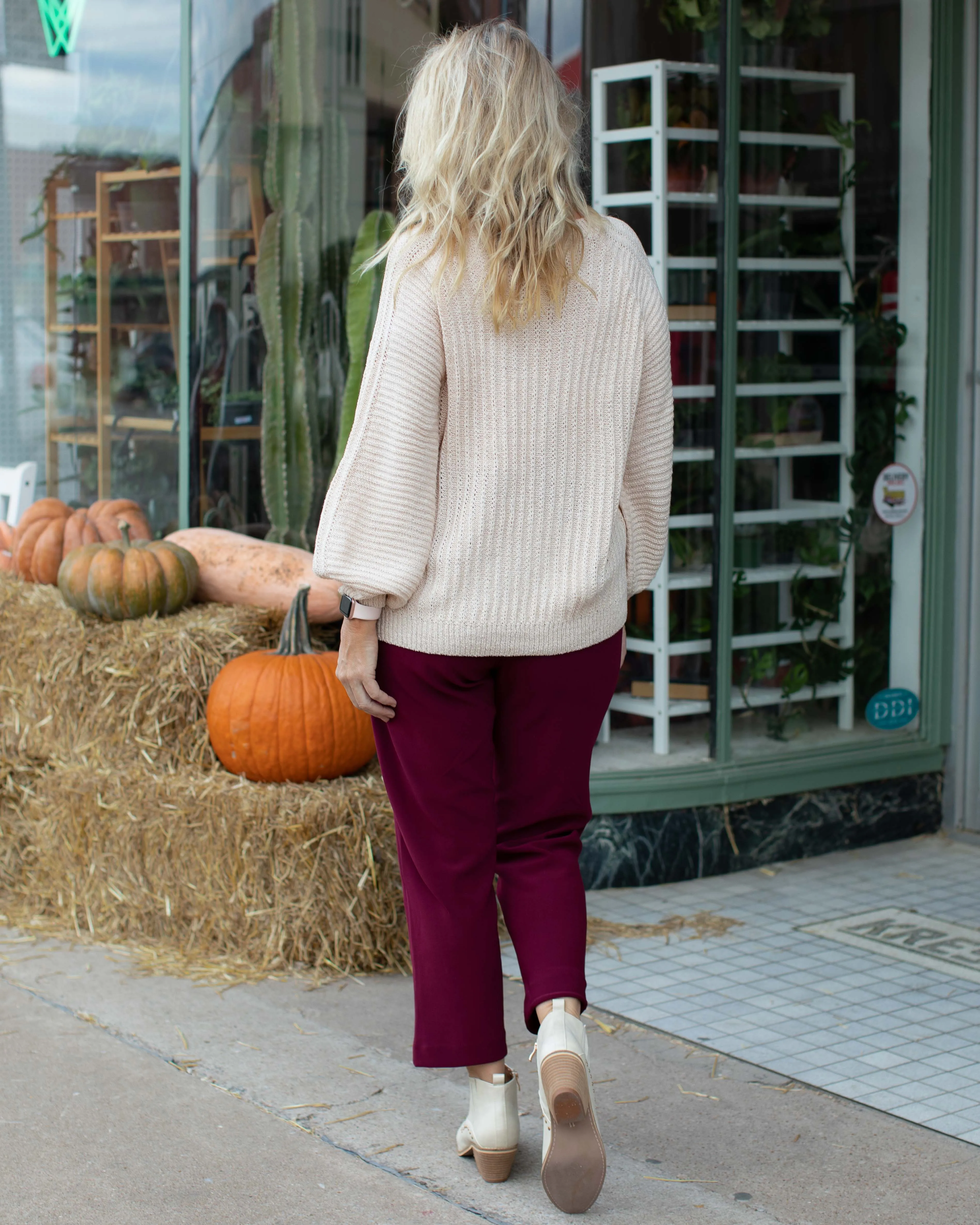 CHARLEE PULL ON DRESS PANTS - WINE