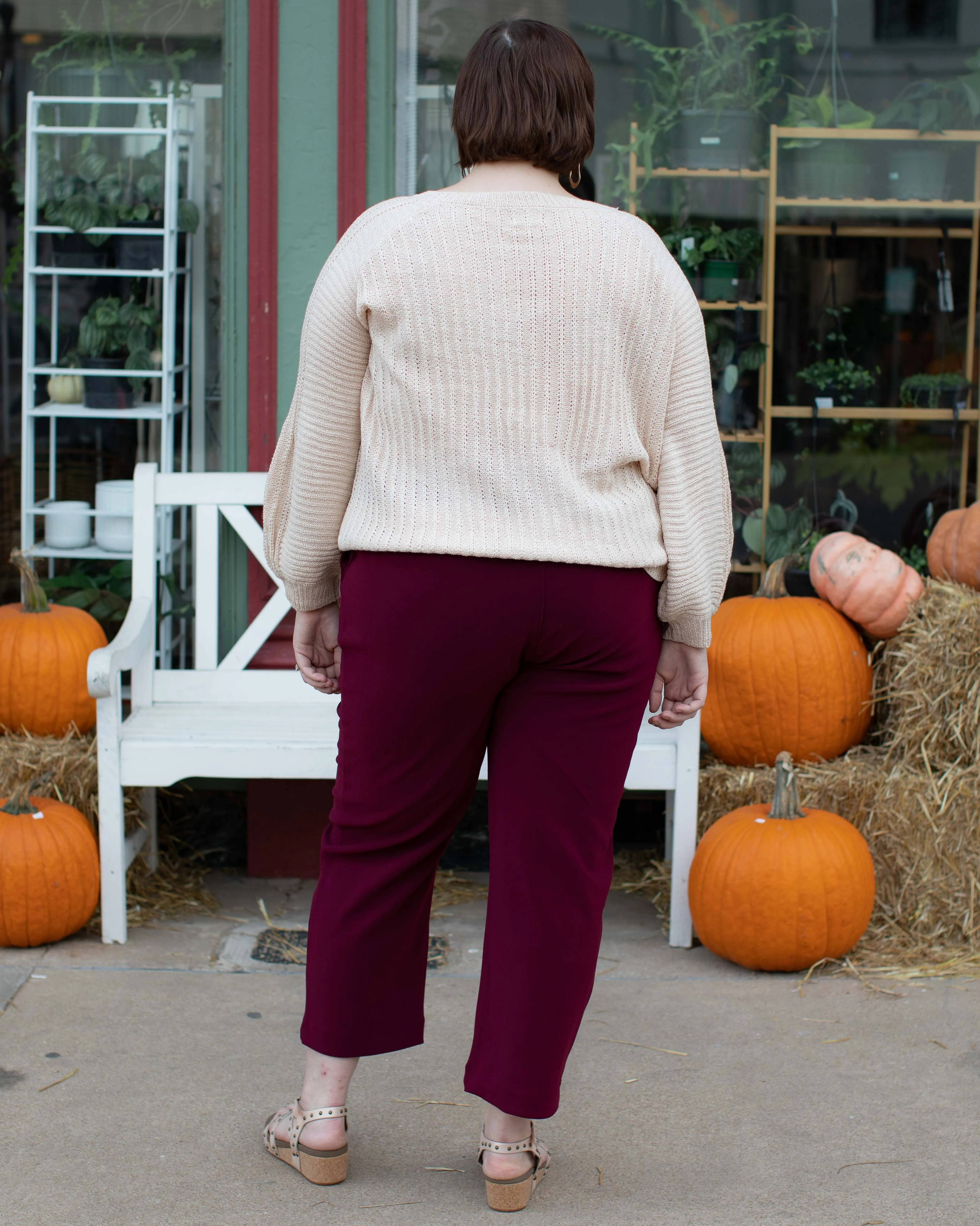 CHARLEE PULL ON DRESS PANTS - WINE