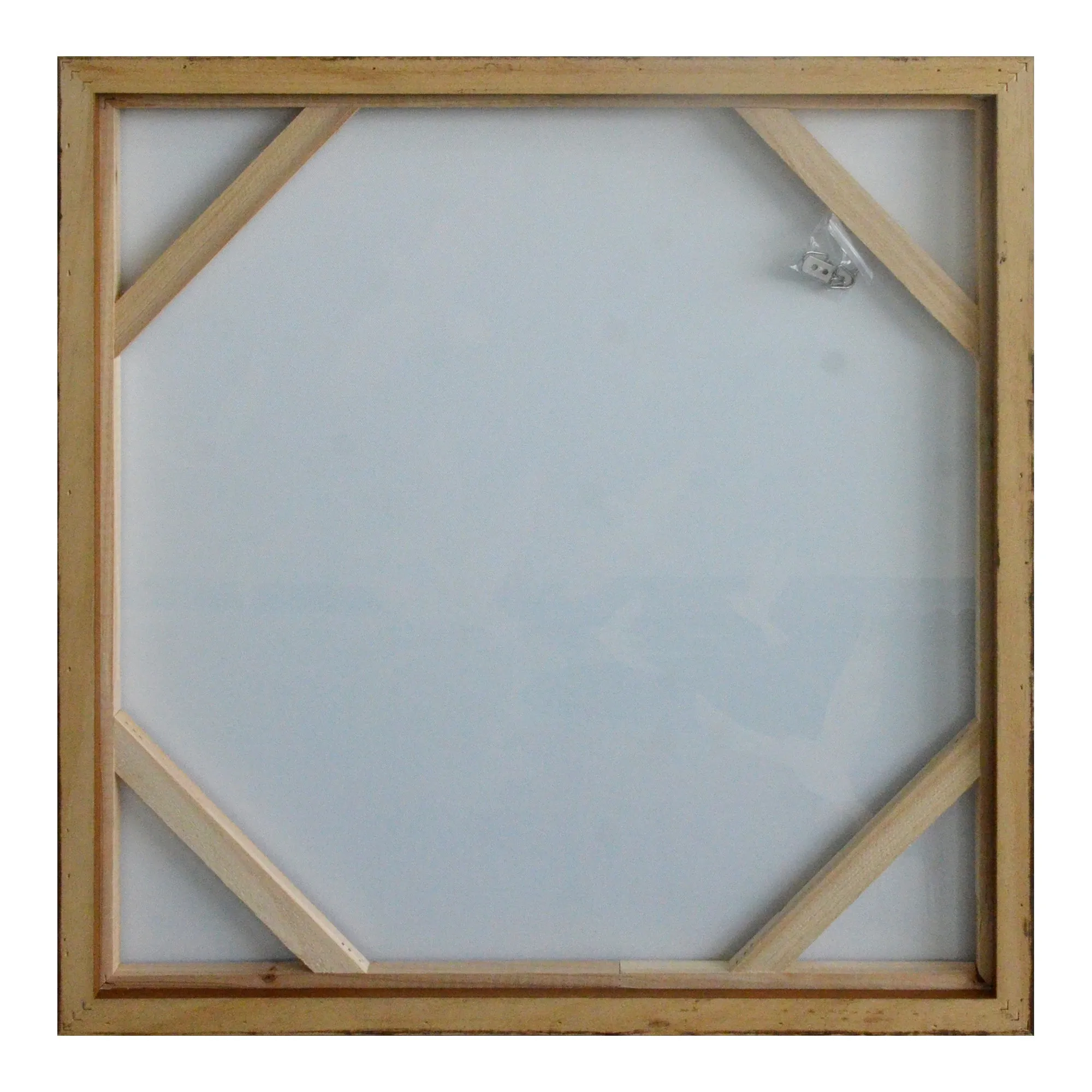 Elevated Wings Canvas Art