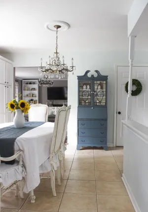 FURNITURE PAINT