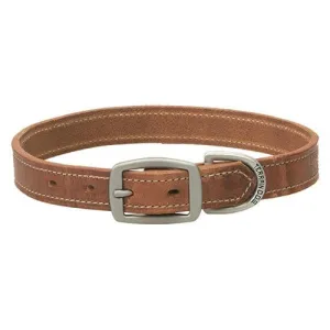 Harness Leather Dog Collar