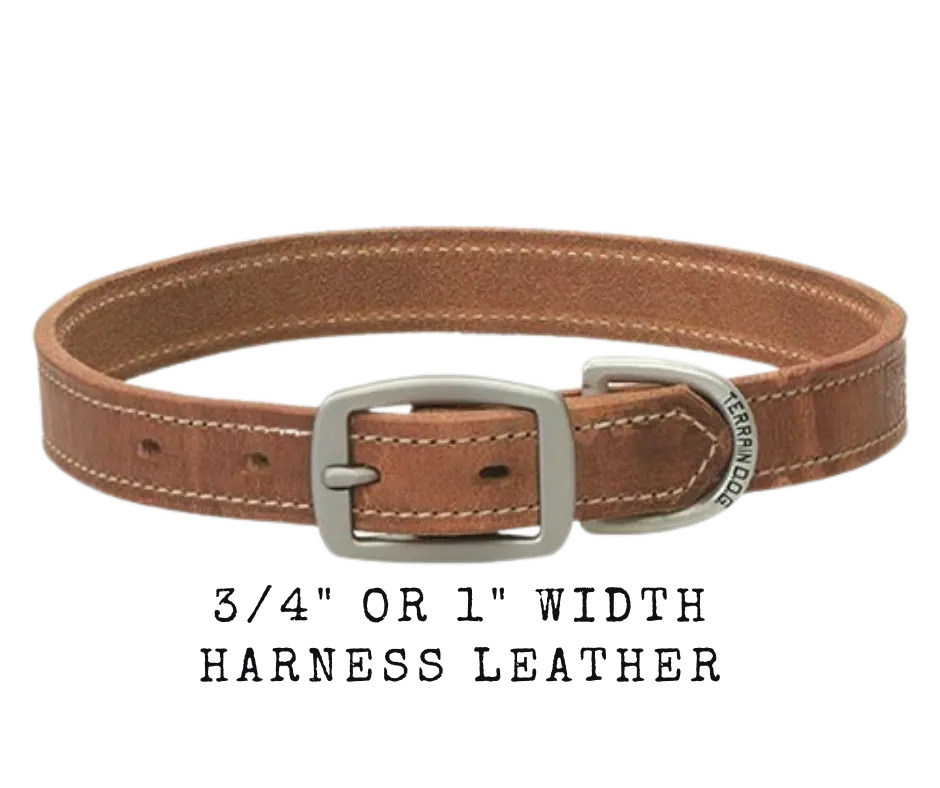 Harness Leather Dog Collar