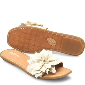 Hibiscus - Cream Birch - BR0069179