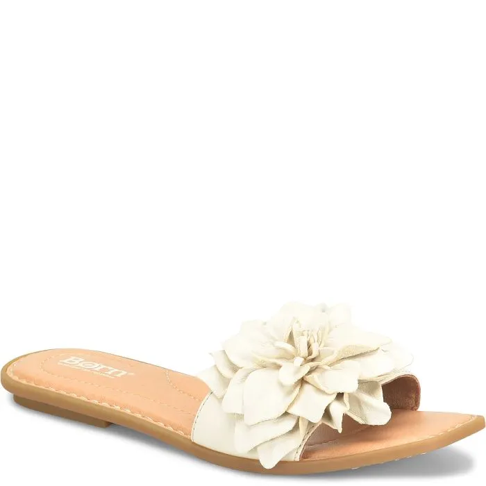 Hibiscus - Cream Birch - BR0069179