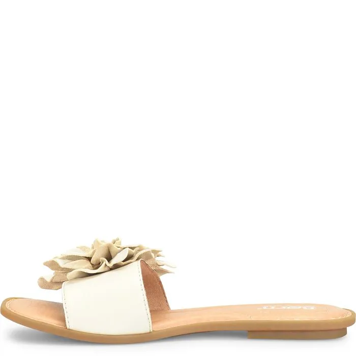 Hibiscus - Cream Birch - BR0069179