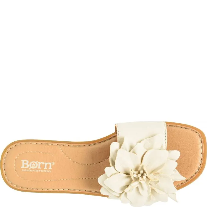 Hibiscus - Cream Birch - BR0069179