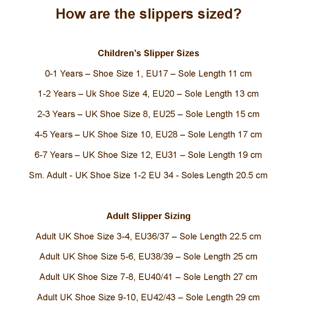 Leopold the Lion Slippers Pre-Order