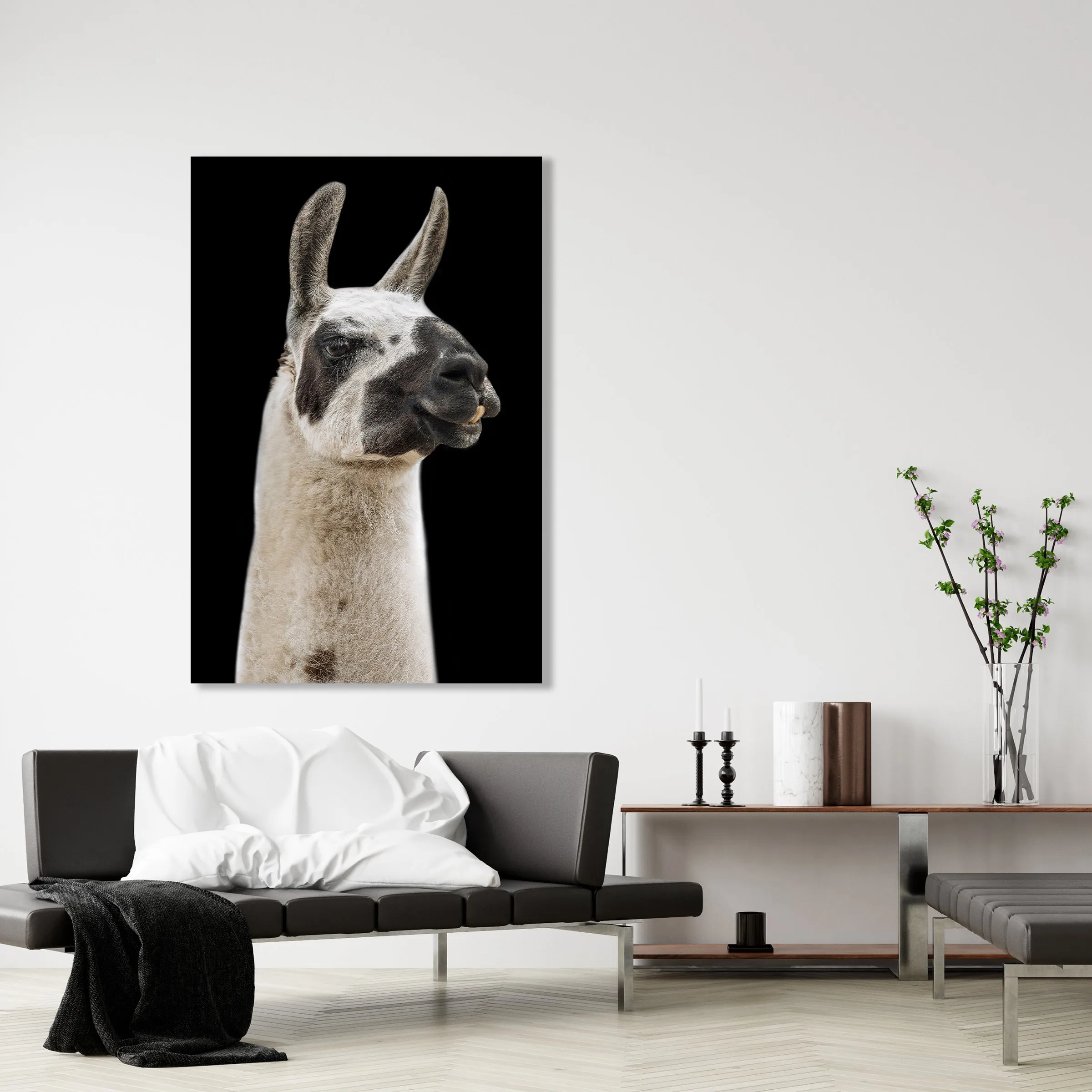 Llama I by Adam Mowery