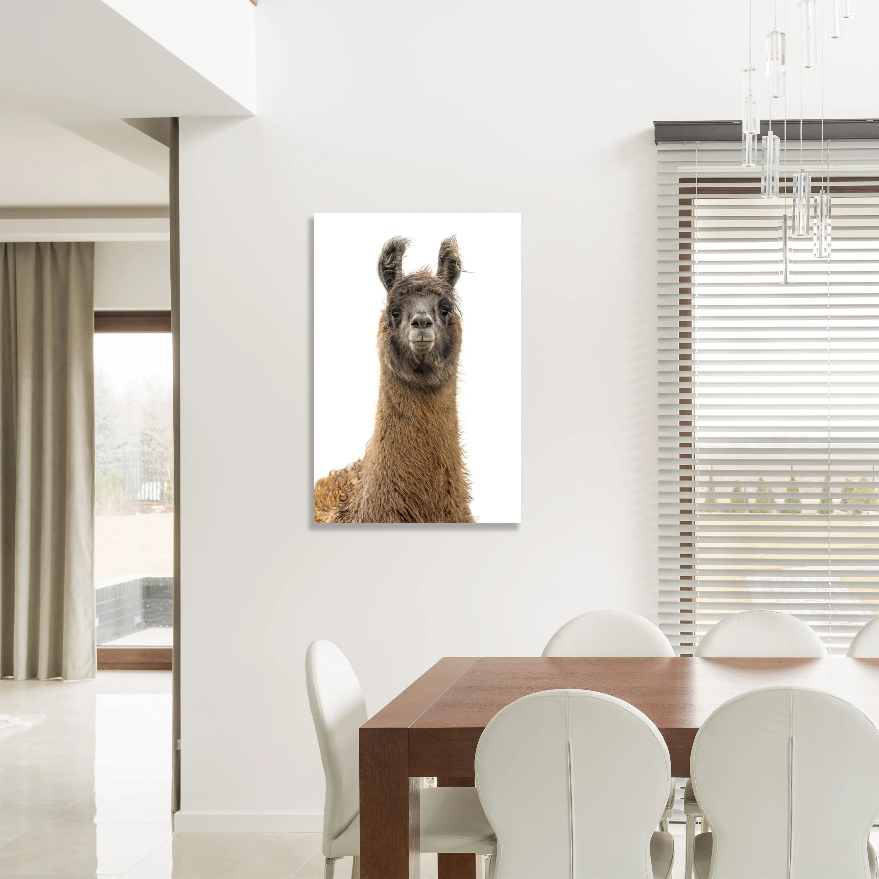 Llama Pack II by Adam Mowery