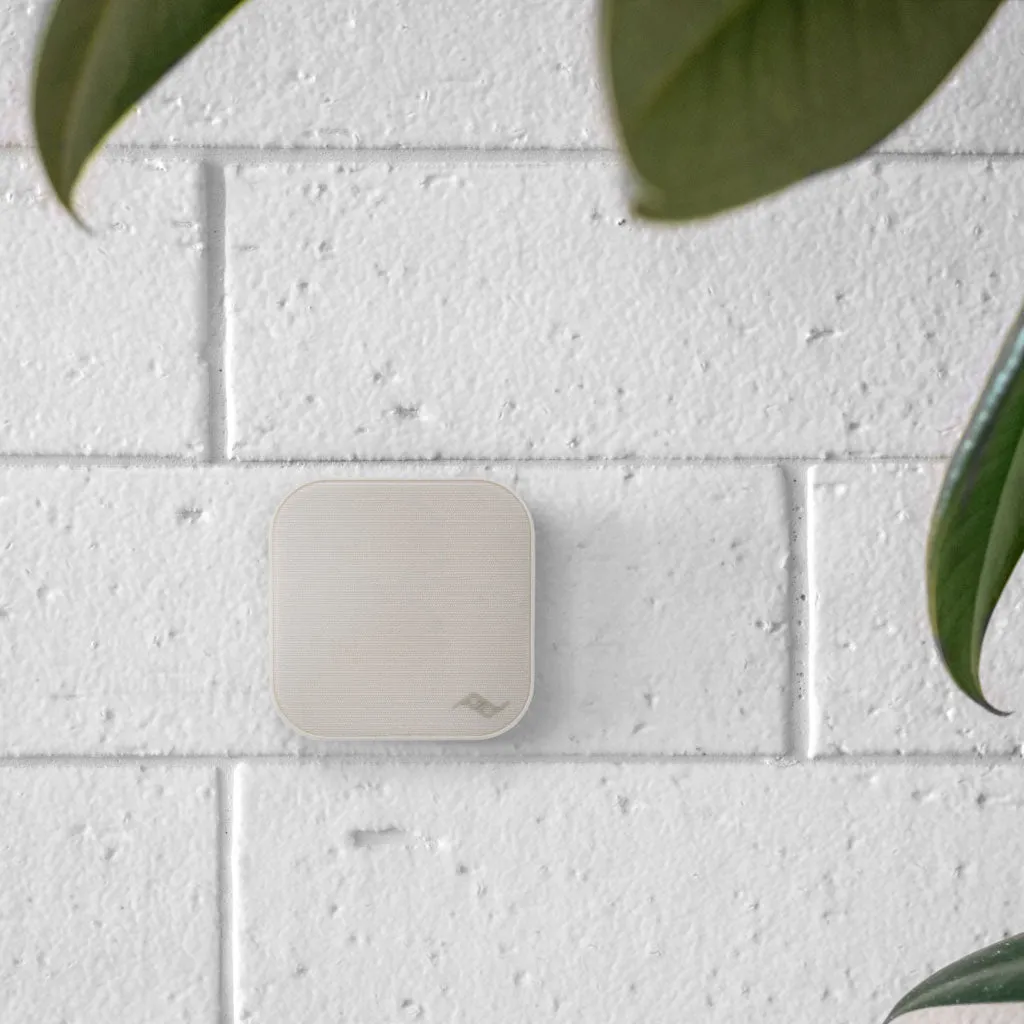 Mobile Wall Mount by Peak Design/ PD-M-WM-AA-CH-1