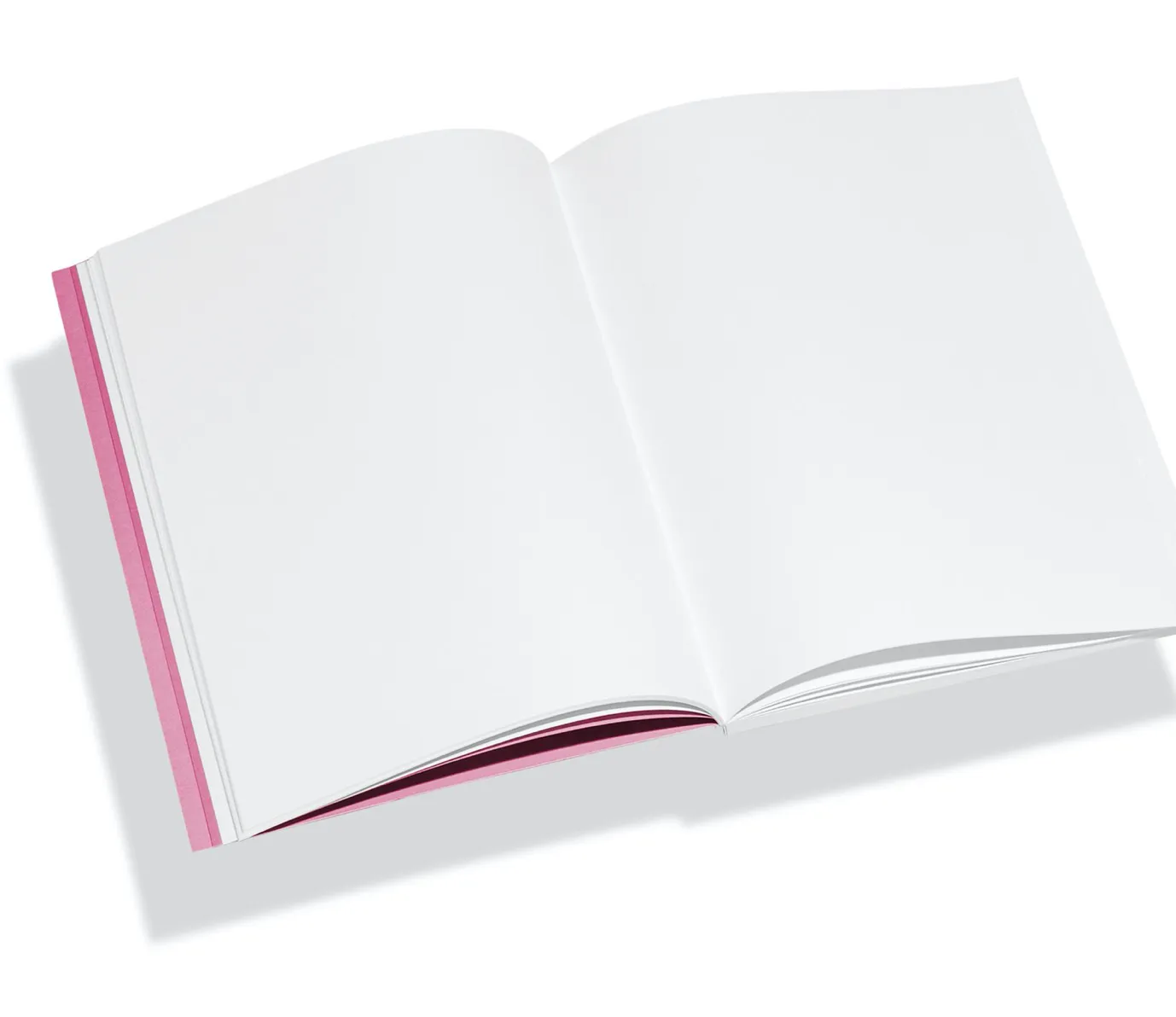 Object Notebook / Rose