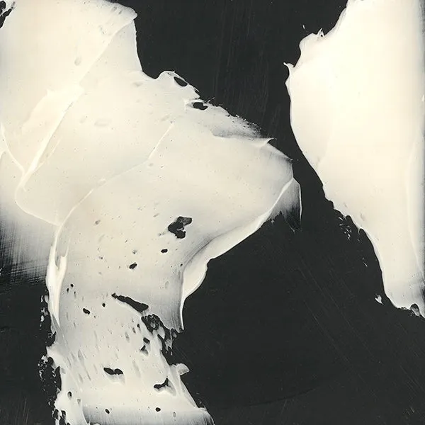 Overlap in Black and White by Victor Ryan