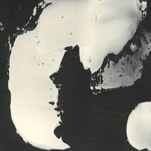Overlap in Black and White by Victor Ryan