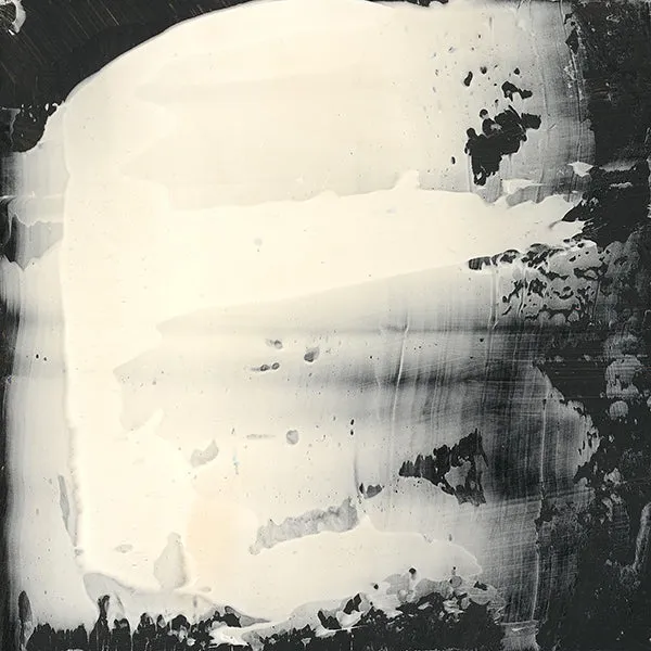 Overlap in Black and White by Victor Ryan