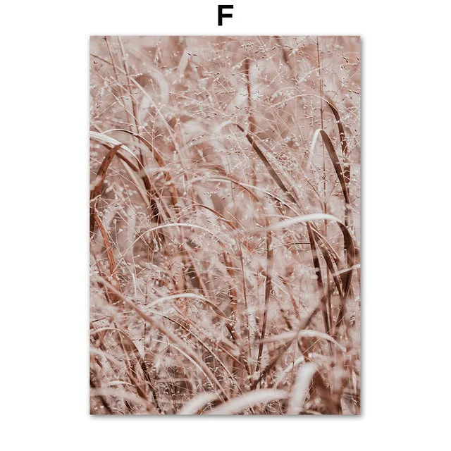 Pink Reed Grass Flower Plant Wall Art