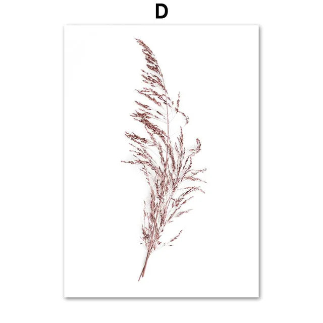 Pink Reed Grass Flower Plant Wall Art