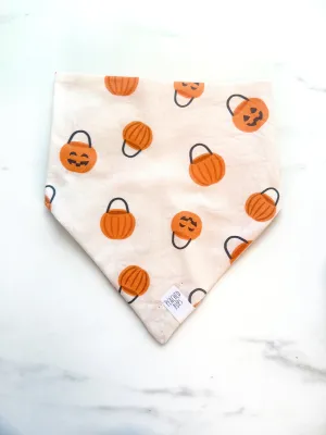 Pumpkin Pail