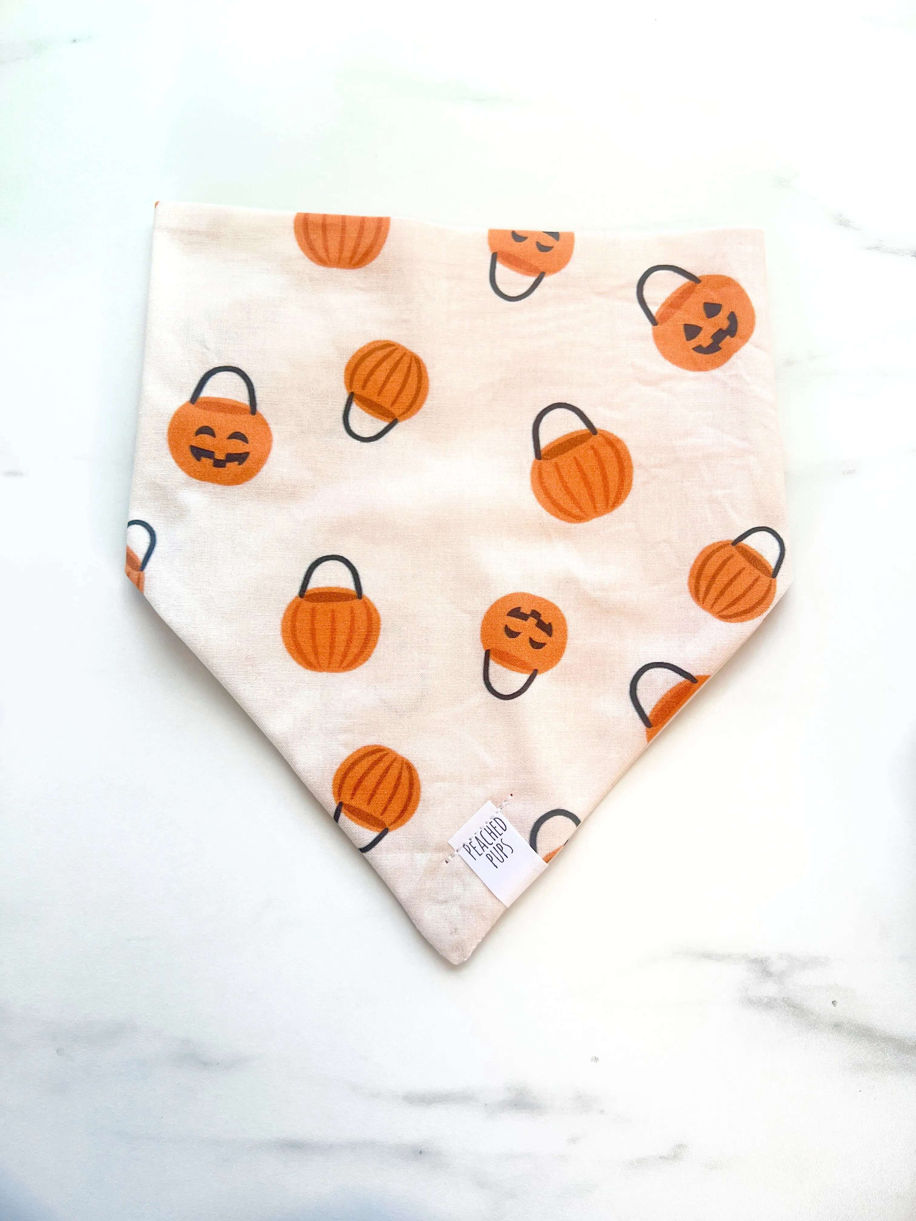 Pumpkin Pail
