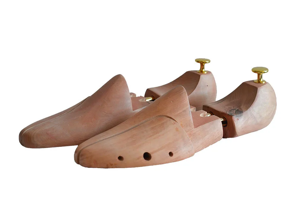 Shoe-tree