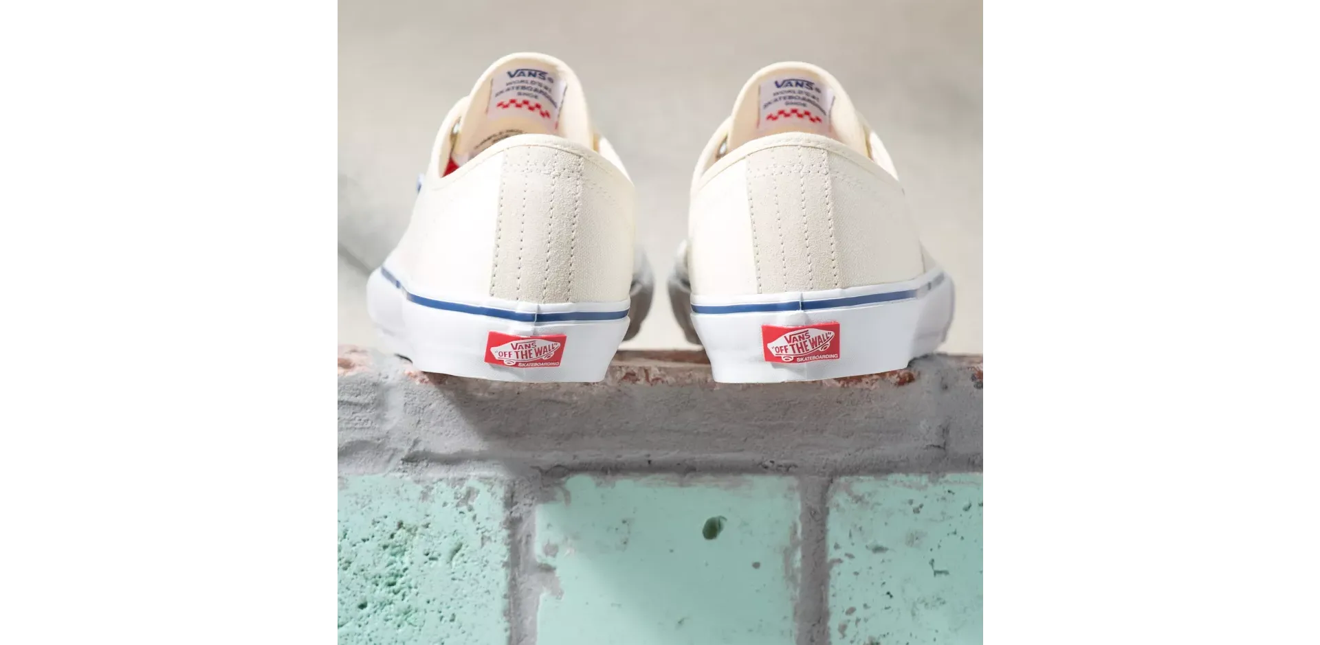 Vans Skate Authentic Shoes Off White