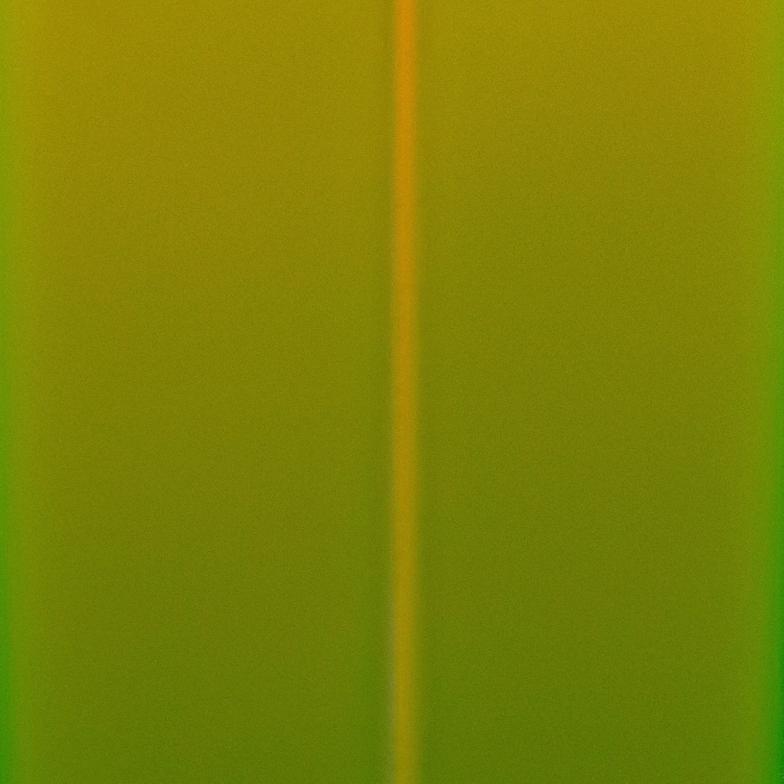 VASA MIHICH “TROPICAL PRISM”, 1980